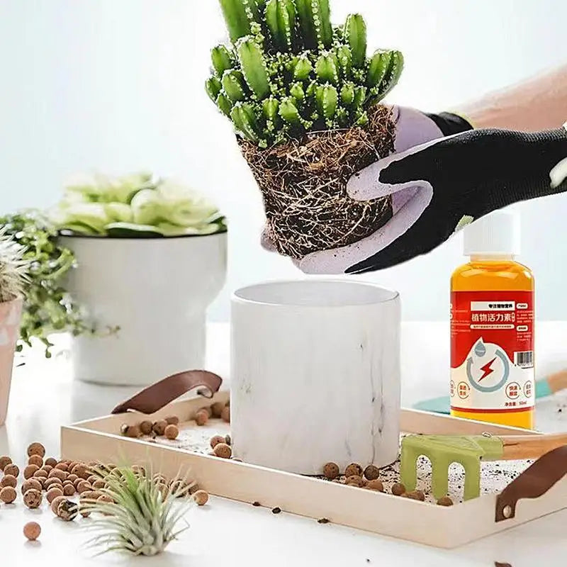 Liquid Nutrition For Potted plants. 50 ml