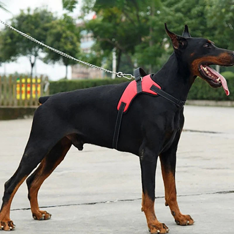 Soft Adjustable Harness for Small-Medium-Large Dogs