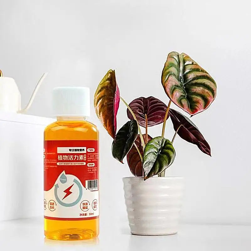 Liquid Nutrition For Potted plants. 50 ml