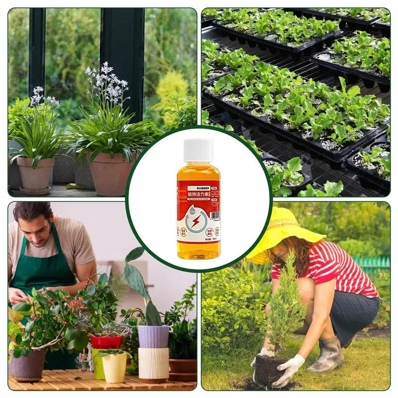 Liquid Nutrition For Potted plants. 50 ml