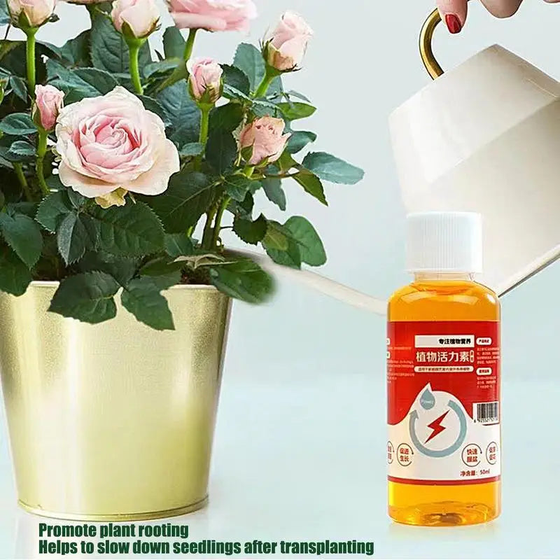 Liquid Nutrition For Potted plants. 50 ml
